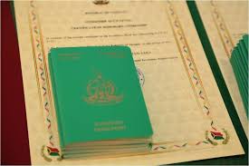 Understanding the Costs of Vanuatu Passport 897363737